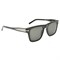 Солнцезащитные очки Cerruti 1881 CR 80008 CR 80008 - фото 5949265