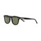 Солнцезащитные очки Cerruti 1881 CR 80038 CR 80038 - фото 6145546