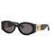 Солнцезащитные очки Roberto Cavalli SRC064 SRC064 - фото 6264292