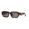 Солнцезащитные очки Roberto Cavalli SRC113 SRC113 - фото 6264296