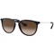Солнцезащитные очки Ray-Ban 4171 RB 4171