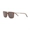 Солнцезащитные очки Cerruti 1881 CR 80045 CR 80045