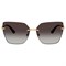 Солнцезащитные очки Dolce &amp; Gabbana 2321 DG 2321